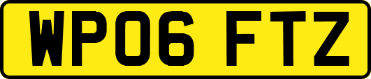 WP06FTZ