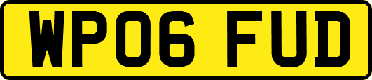 WP06FUD