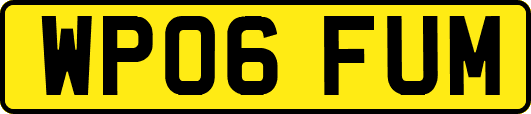 WP06FUM