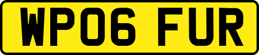 WP06FUR