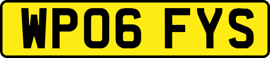 WP06FYS