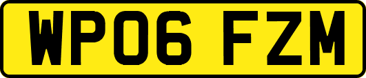 WP06FZM