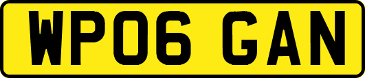 WP06GAN