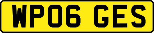 WP06GES