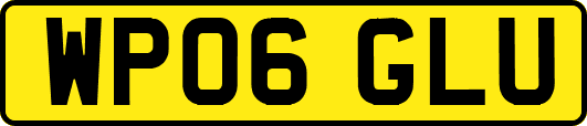 WP06GLU