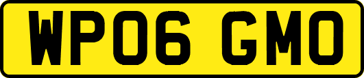 WP06GMO