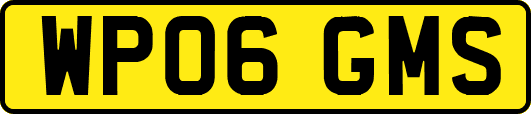 WP06GMS