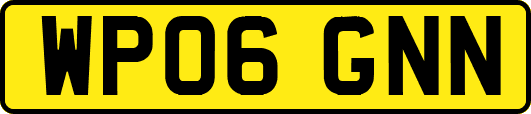 WP06GNN