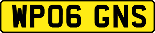WP06GNS