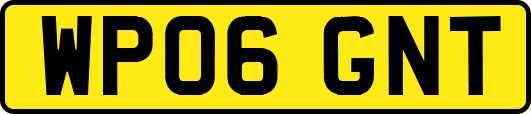 WP06GNT
