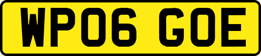 WP06GOE