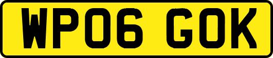 WP06GOK