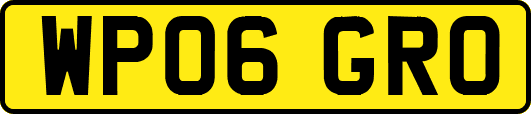 WP06GRO