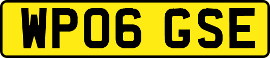 WP06GSE