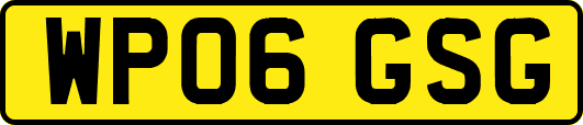 WP06GSG