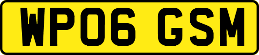 WP06GSM