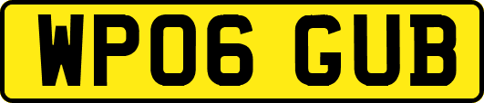 WP06GUB
