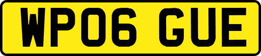 WP06GUE