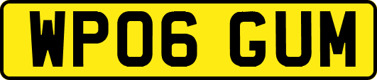 WP06GUM
