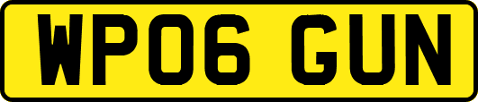 WP06GUN
