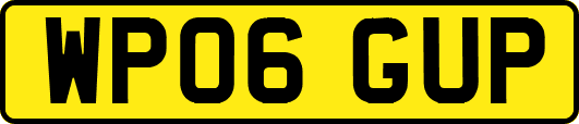 WP06GUP