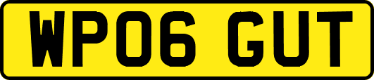 WP06GUT