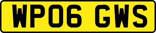 WP06GWS