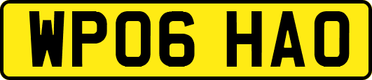 WP06HAO