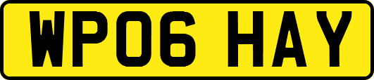WP06HAY