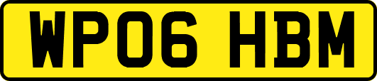 WP06HBM