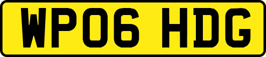 WP06HDG