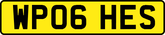 WP06HES