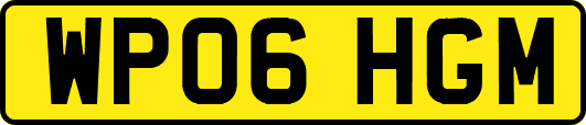 WP06HGM