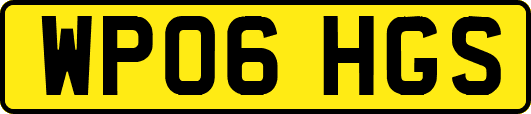 WP06HGS