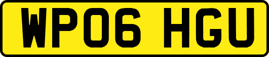 WP06HGU