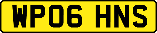 WP06HNS