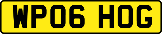 WP06HOG
