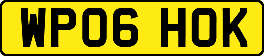 WP06HOK