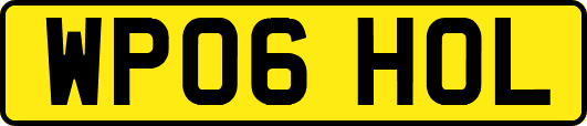 WP06HOL