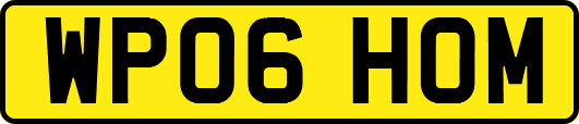 WP06HOM