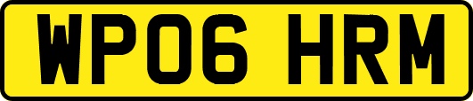 WP06HRM