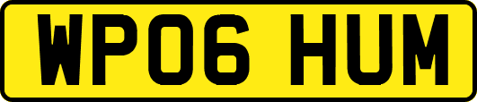 WP06HUM