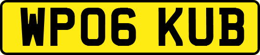 WP06KUB