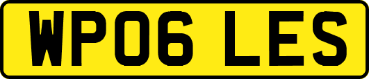 WP06LES