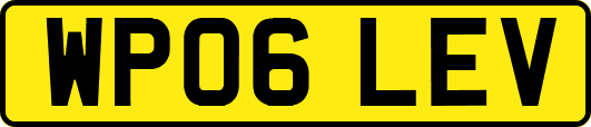 WP06LEV