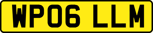 WP06LLM