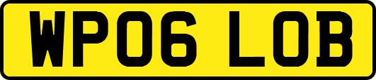 WP06LOB