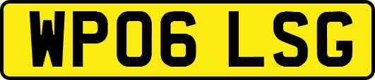 WP06LSG