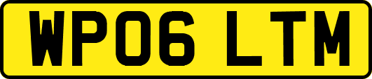 WP06LTM