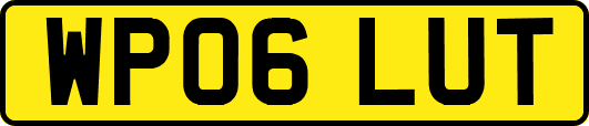 WP06LUT